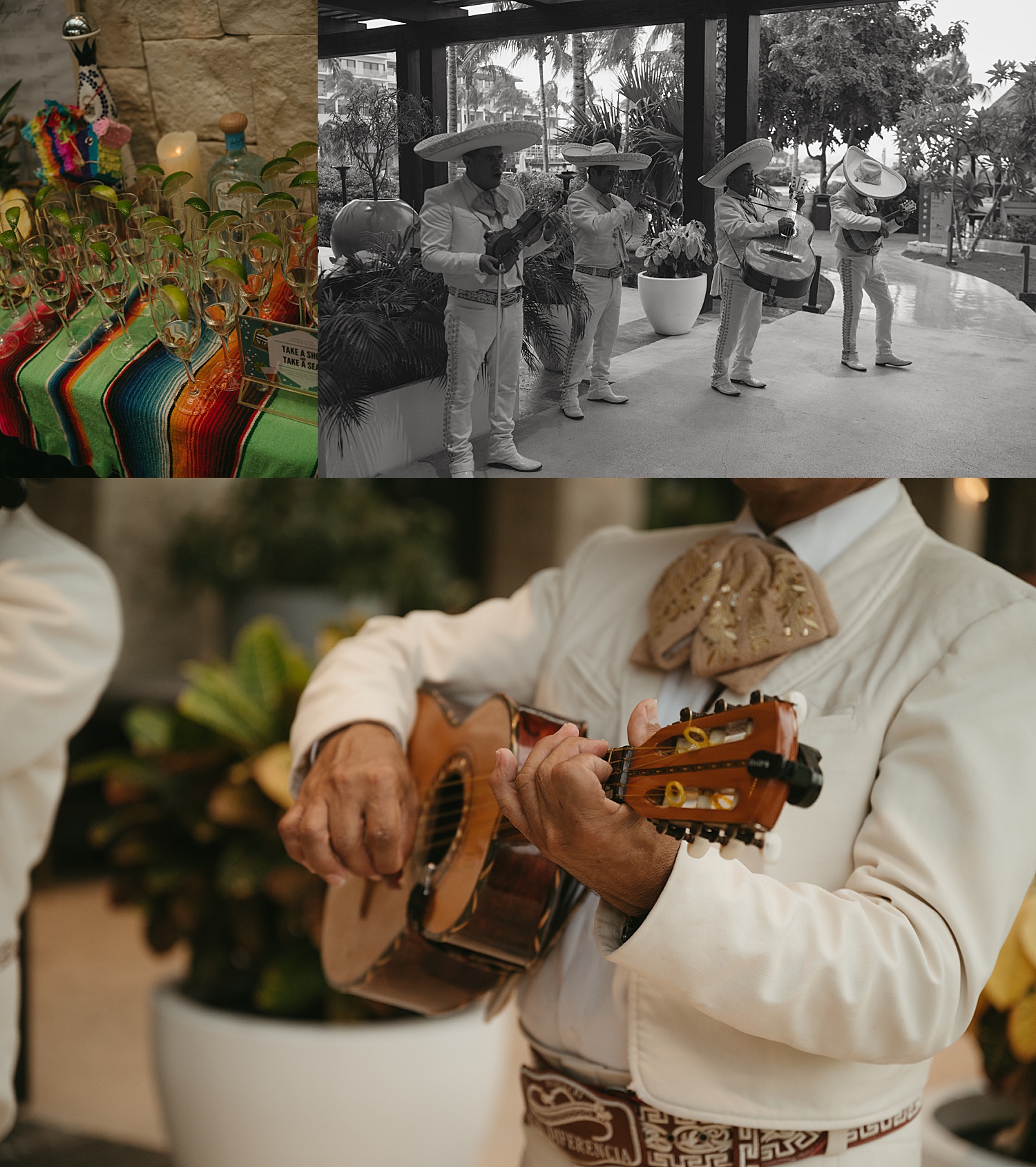 band plays to guests at reception by Thistle and Veil Photo