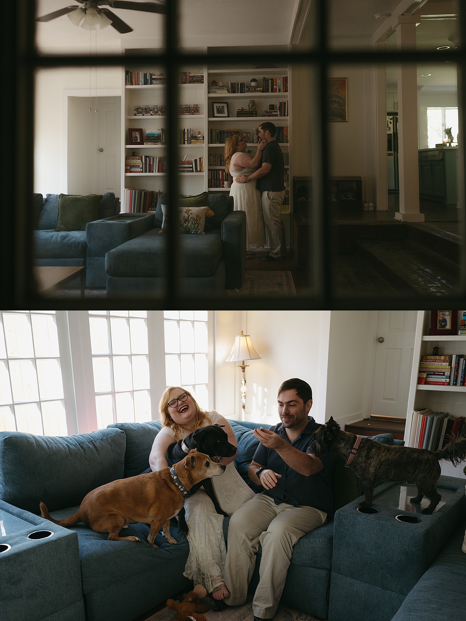 couple snuggle with their dogs on the couch by Thistle and Veil Photography